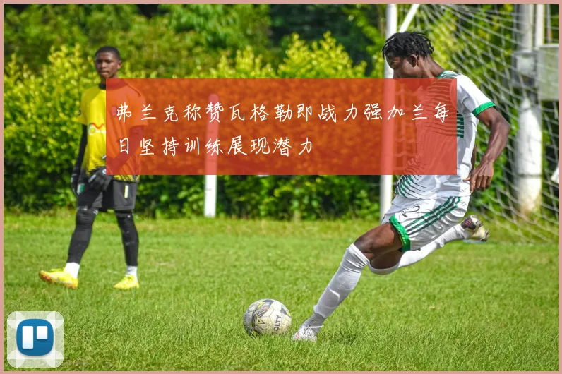 弗兰克称赞瓦格勒即战力强加兰每日坚持训练展现潜力